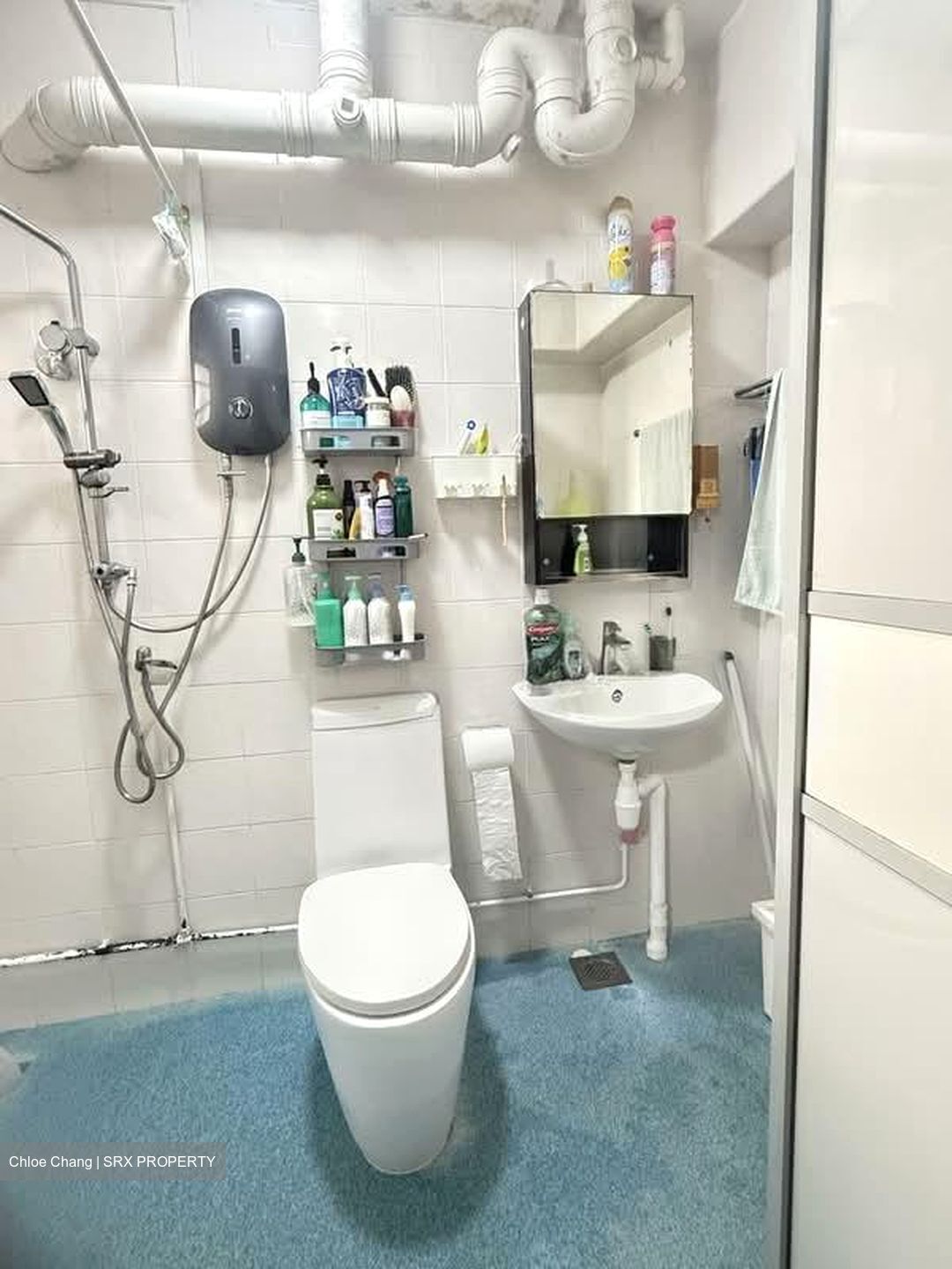 Blk 123E Rivervale Grove (Sengkang), HDB 5 Rooms #586781841